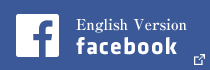 English Version facebook